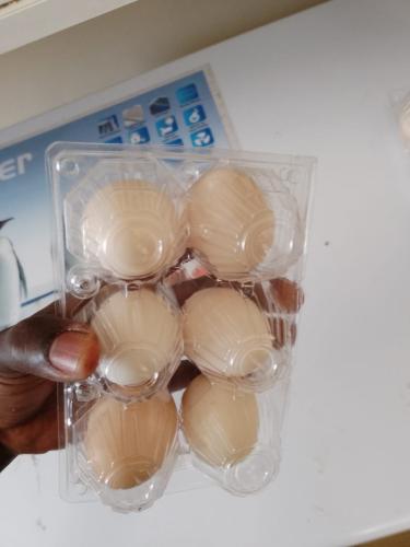 ebenezer-poultry-farm-010