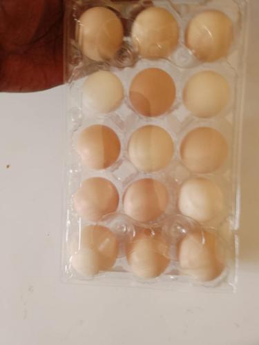 ebenezer-poultry-farm-011