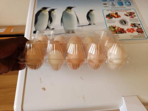 ebenezer-poultry-farm-012