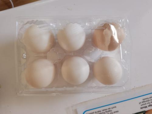 eggs