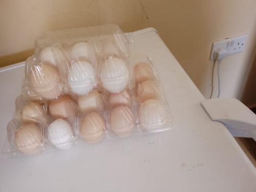 eggs-4